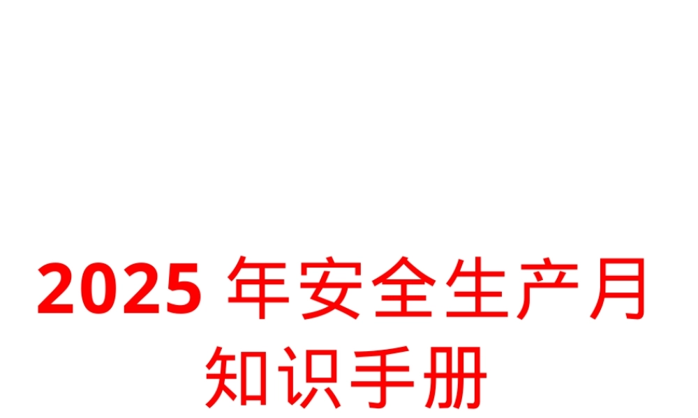 安全指导手册（46页）.pptx