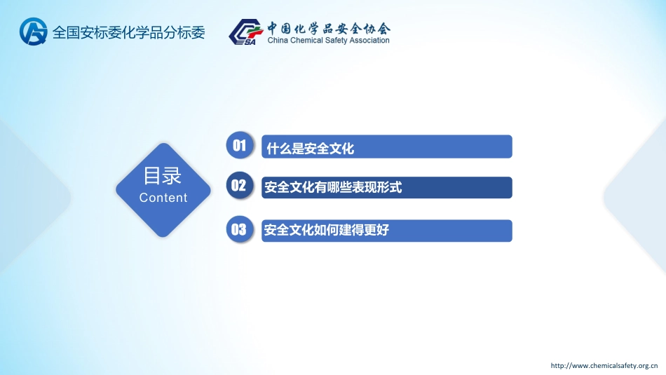 .安全文化建设.pdf_第2页
