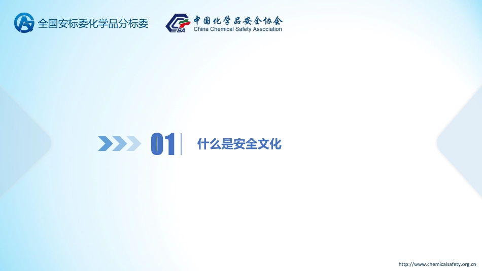 .安全文化建设.pdf_第3页